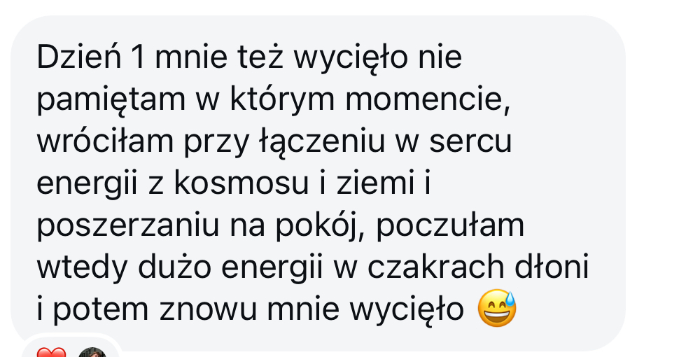 Oryginalna wiadomość klienta — opinia 17