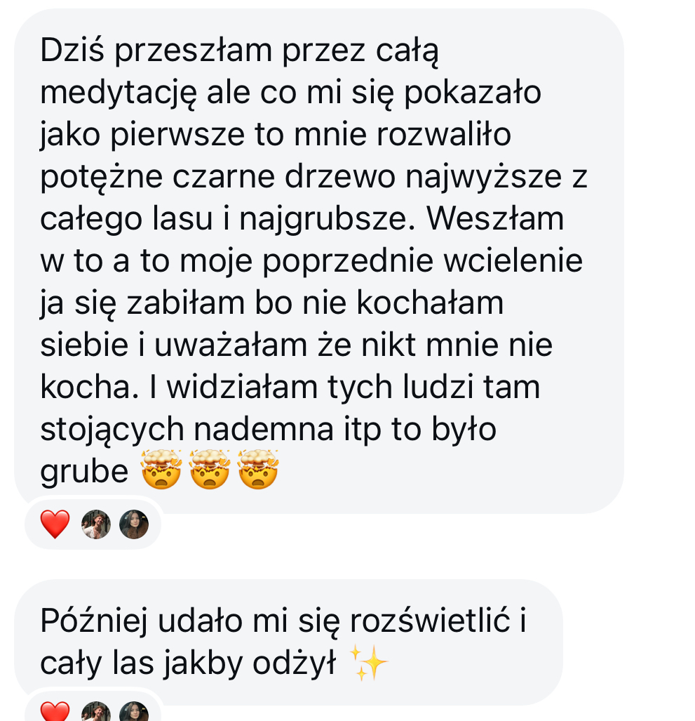 Oryginalna wiadomość klienta — opinia 15
