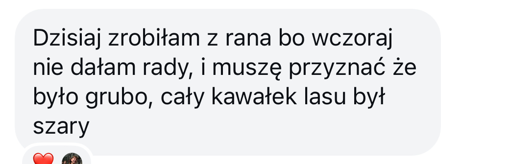 Oryginalna wiadomość klienta — opinia 3