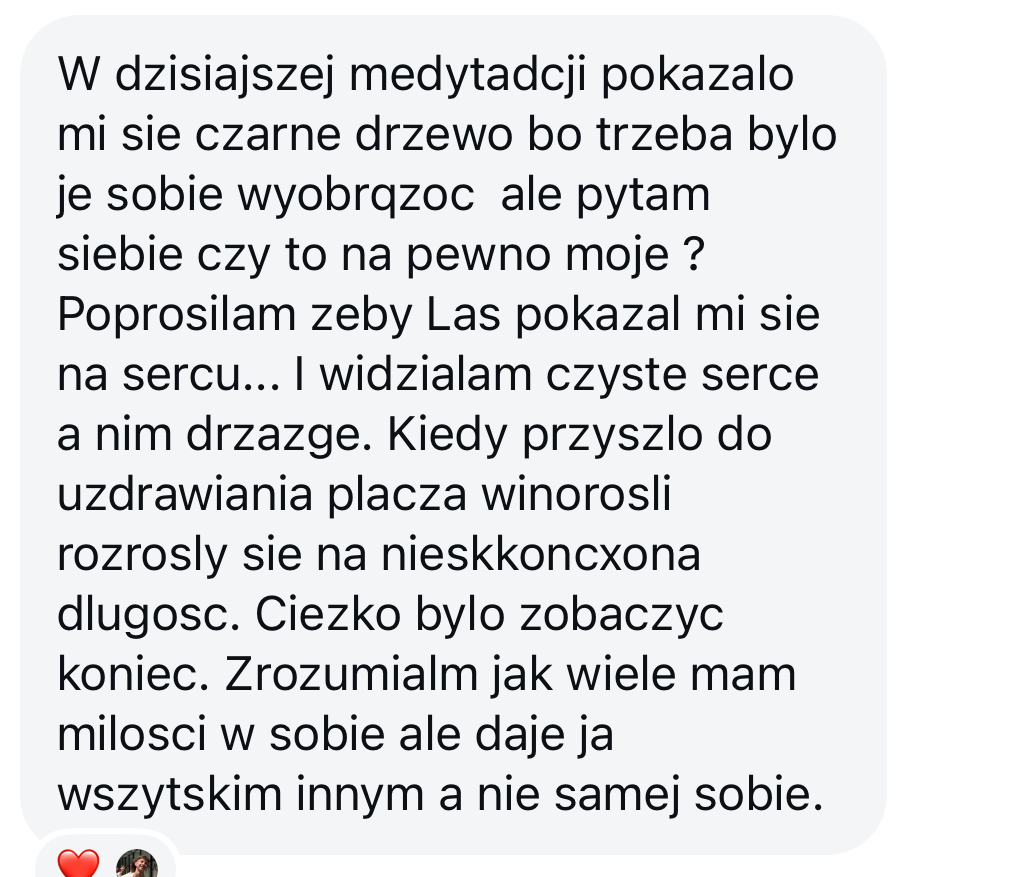 Oryginalna wiadomość klienta — opinia 32